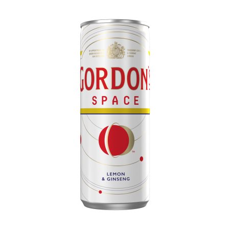 Gordon's Space Box 5% vol 250ml